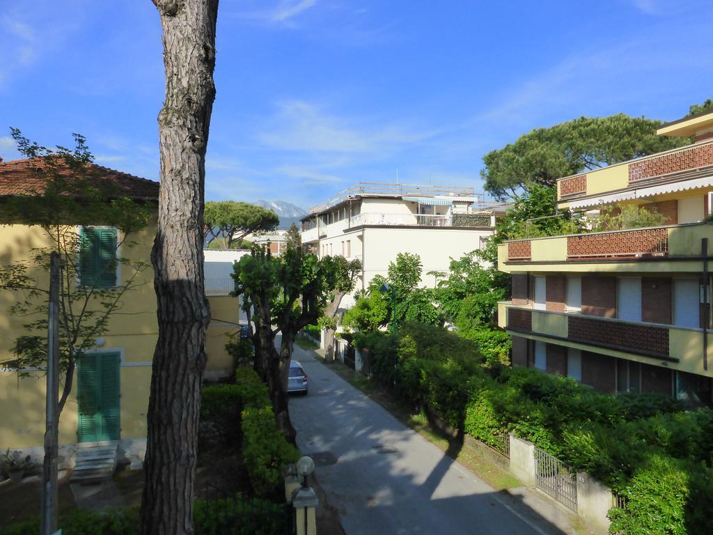 Villa Fernanda Forte dei Marmi Extérieur photo