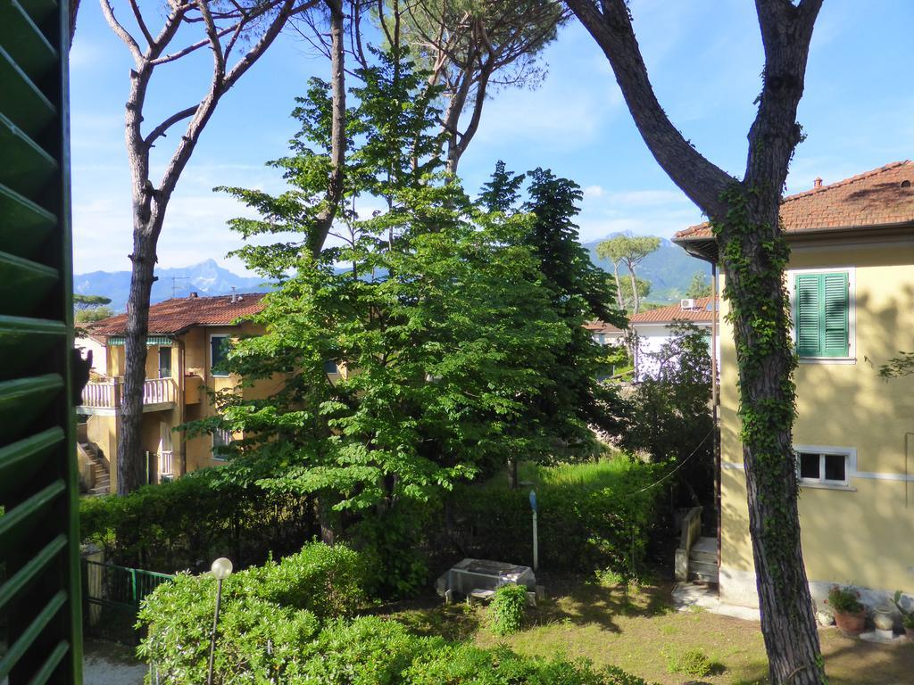 Villa Fernanda Forte dei Marmi Extérieur photo